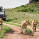 Serengeti National Park